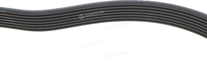 Dayco 7PK1550