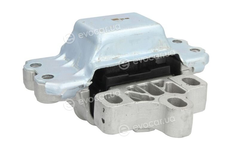 Reinhoch RH11-0036