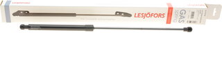 Lesjofors 8175718