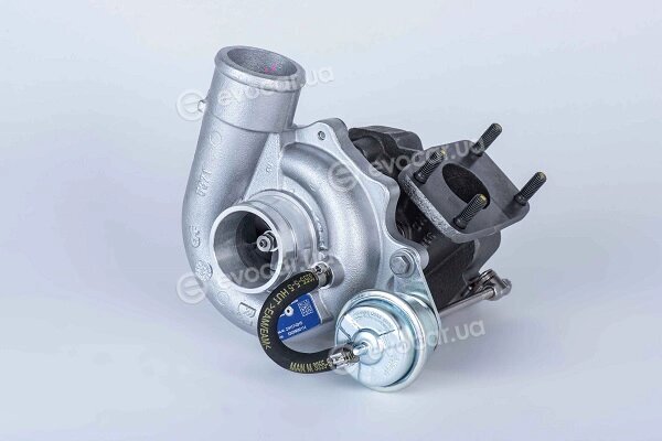 BorgWarner 53039880114