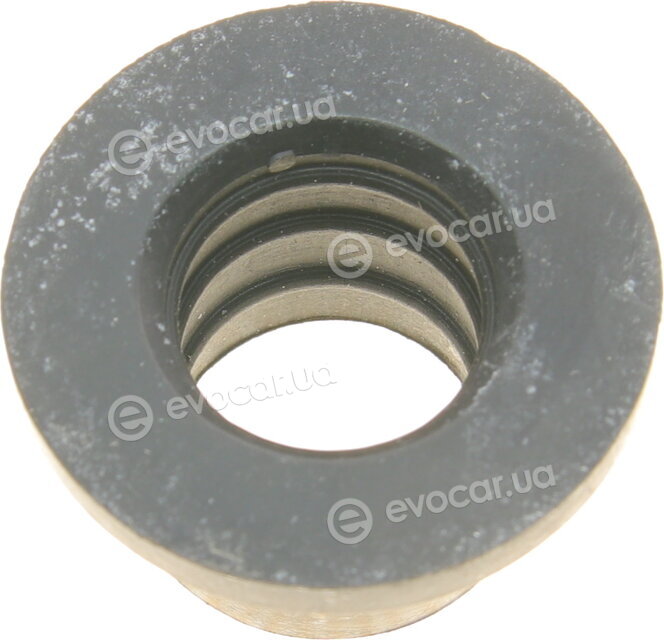 Elring 294.420