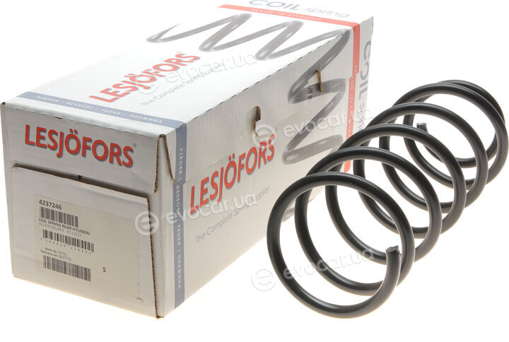 Lesjofors 4237246