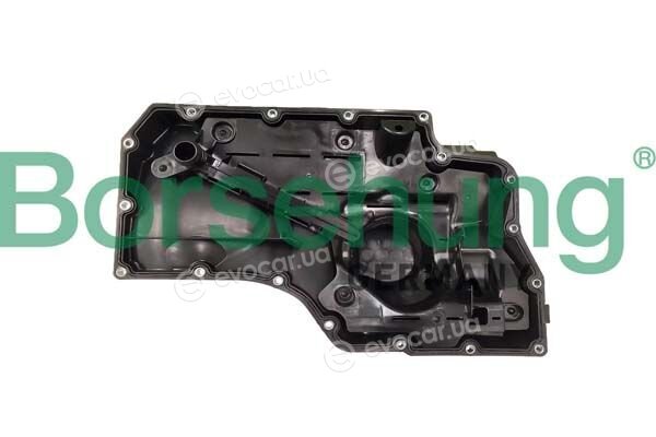 Borsehung B12733