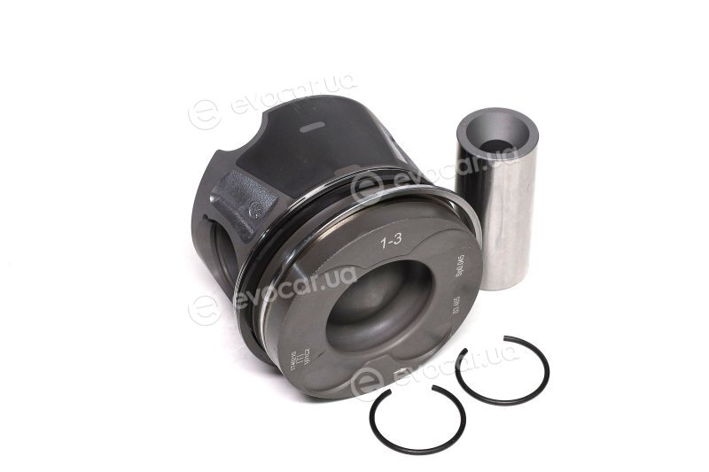Mahle 001 PI 00106 002