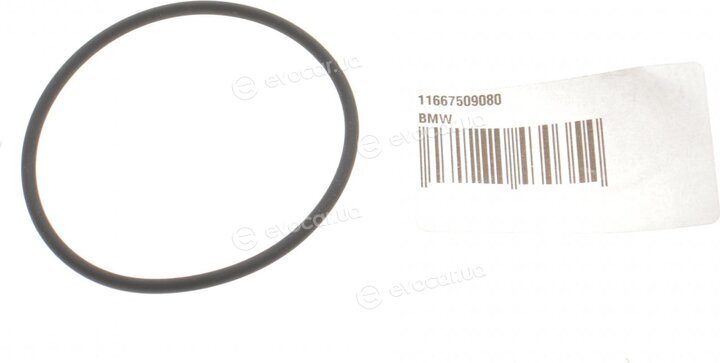 BMW / Mini 11 66 7 509 080