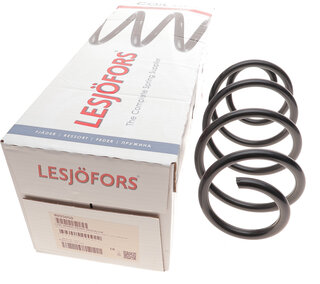 Lesjofors 4095050