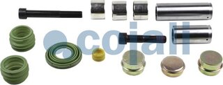 Cojali 6082016