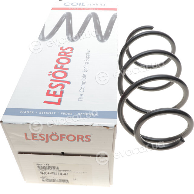 Lesjofors 4037273