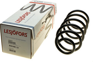 Lesjofors 4095077