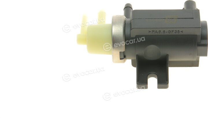 Solgy 402013