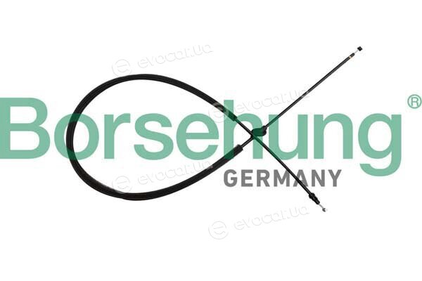 Borsehung B10784