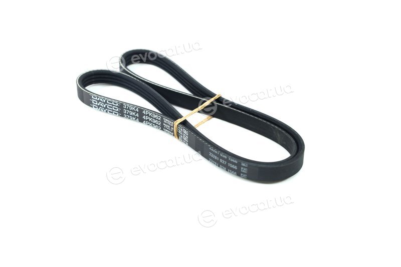 Dayco 4PK962