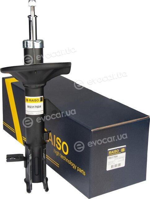 Raiso RS317604