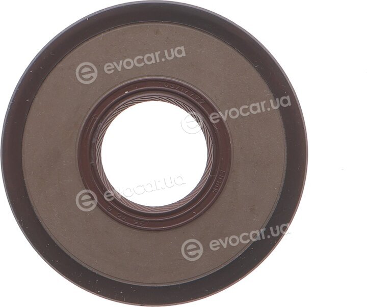 Elring B10.810