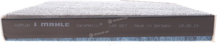 Mahle LAO 667