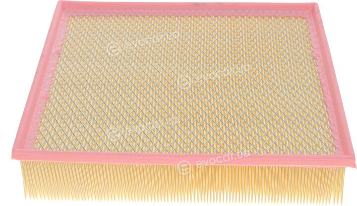 Solgy 103002