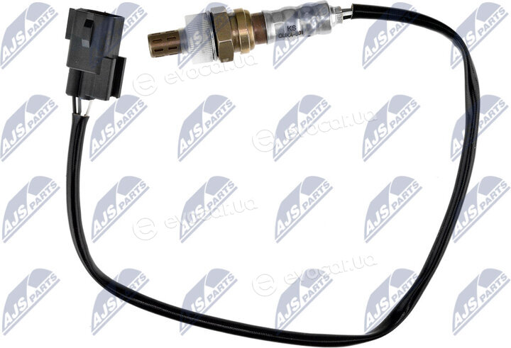 NTY ESL-KA-301