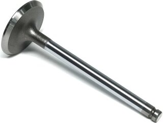 Gunes 6904