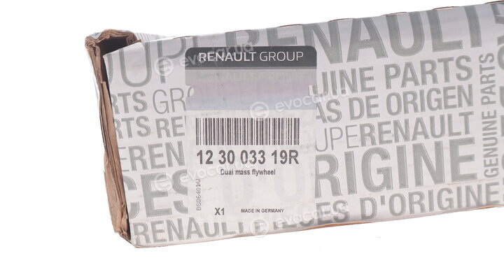Renault / Nissan 123003319R
