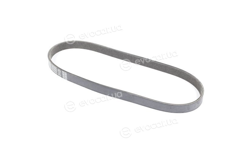 Dayco 6PK905S