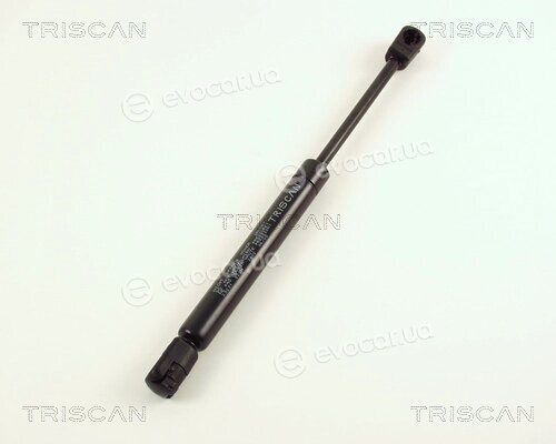 Triscan 8710 29231
