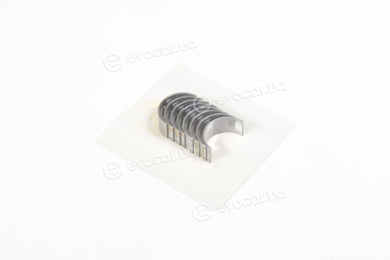 Glyco 71-4033/4 STD