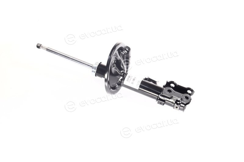 Sachs 313 531