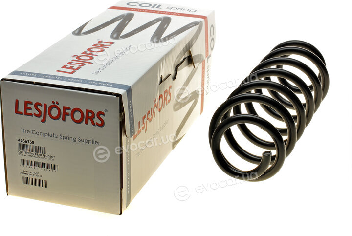Lesjofors 4266759