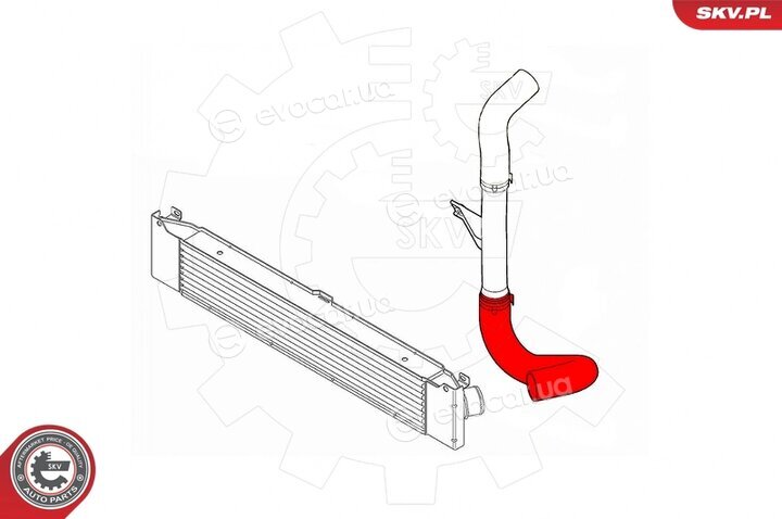 SKV 24SKV552