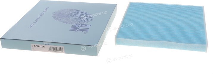 Blue Print ADN12547