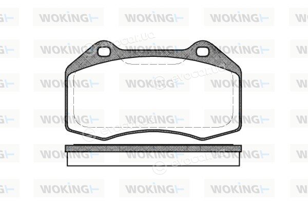 Woking P10133.00