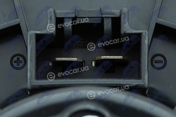 NTY EWN-MS-005