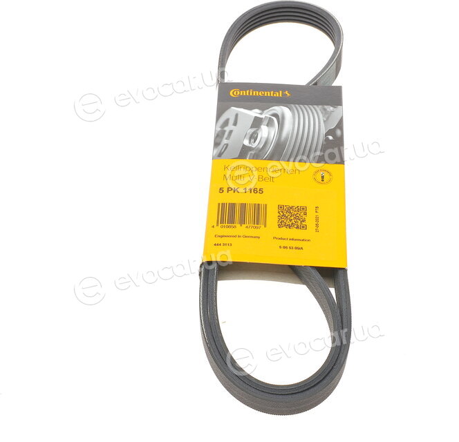 Continental 5PK1165