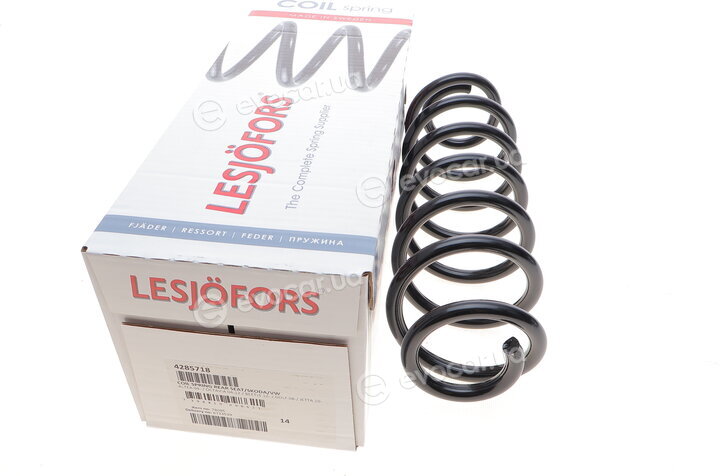 Lesjofors 4285718