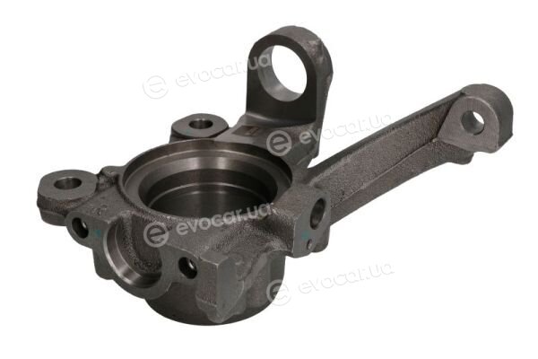 Reinhoch RH08-0058