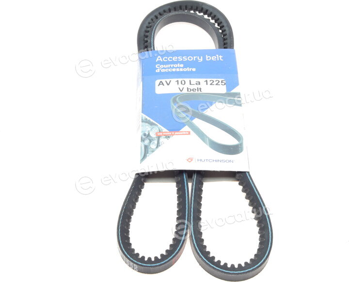 Hutchinson AV 10 La 1225