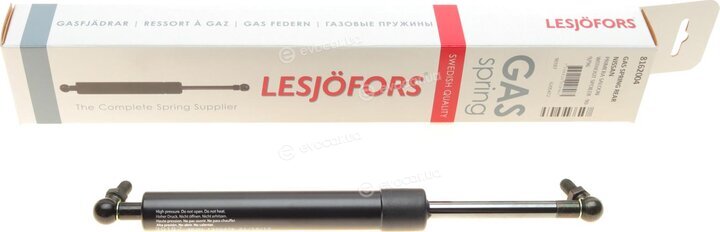 Lesjofors 8162004