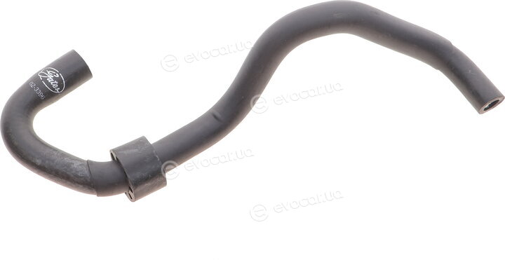 Gates 02-3396