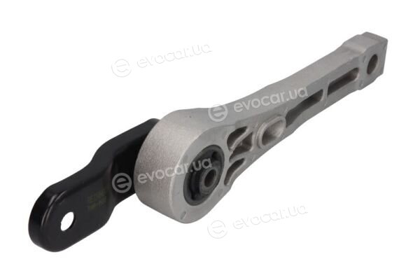 Reinhoch RH11-0154