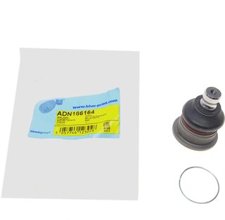 Blue Print ADN186164