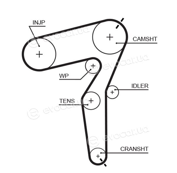 Gates K025650XS