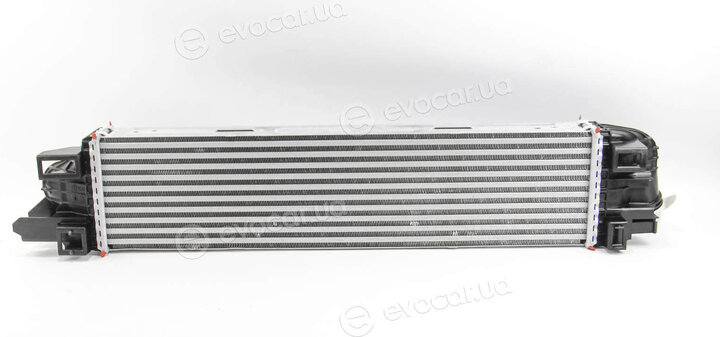 Mahle CI 31 000P