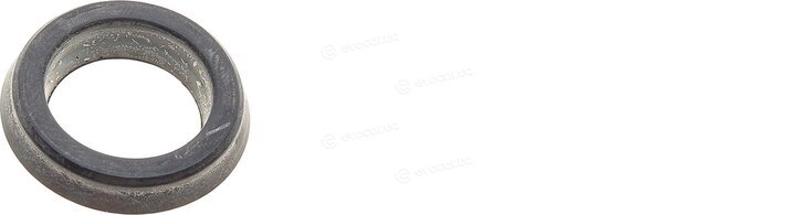 Frenkit 122024