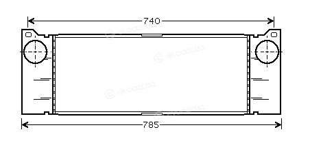 Starline A MSA 4371