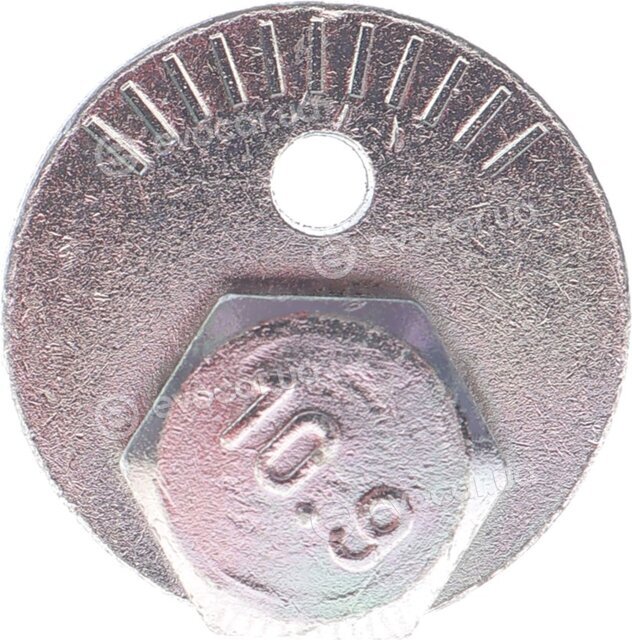 Belgum BG2029