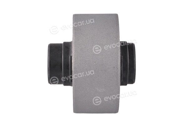 Tedgum TED48985