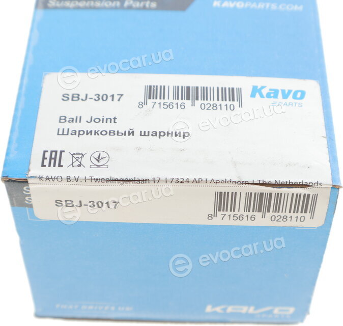 Kavo SBJ-3017