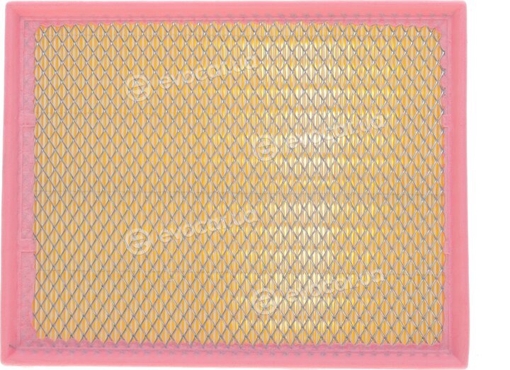 Solgy 103059