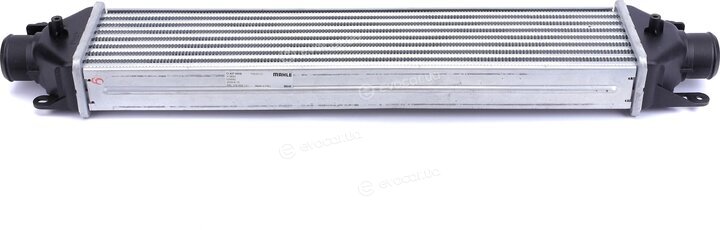 Mahle CI 427 000S
