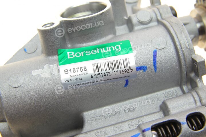 Borsehung B18758